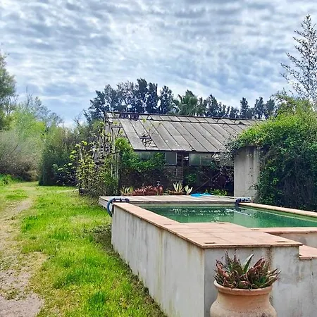 With Pool In